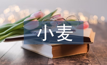 談小麥種植技術及病蟲害防治技術