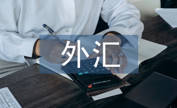 保險公司外匯管理辦法