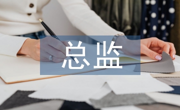 人力資源總監總結