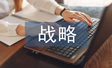 多元化戰(zhàn)略