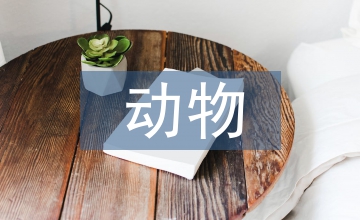 動物疫病防控規范化管理模式探析