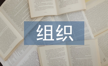 工程項目組織論文