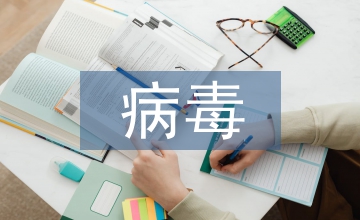 病毒防御計算機病毒論文