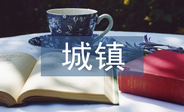 城鎮道路路面設計規范