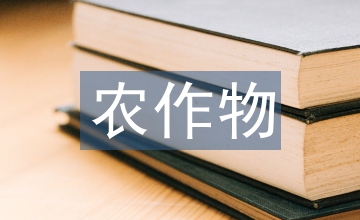 農作物精播技術探索