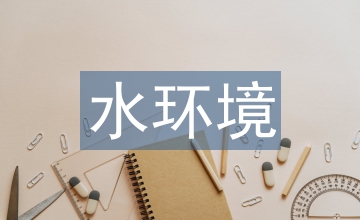 生態(tài)型水環(huán)境治理技術(shù)分析